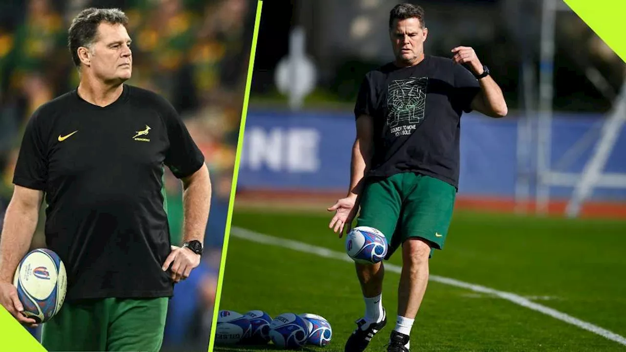 ‘Entertaining’ Portugal Will Be an Experience for Springboks, Said Coach Rassie Erasmus