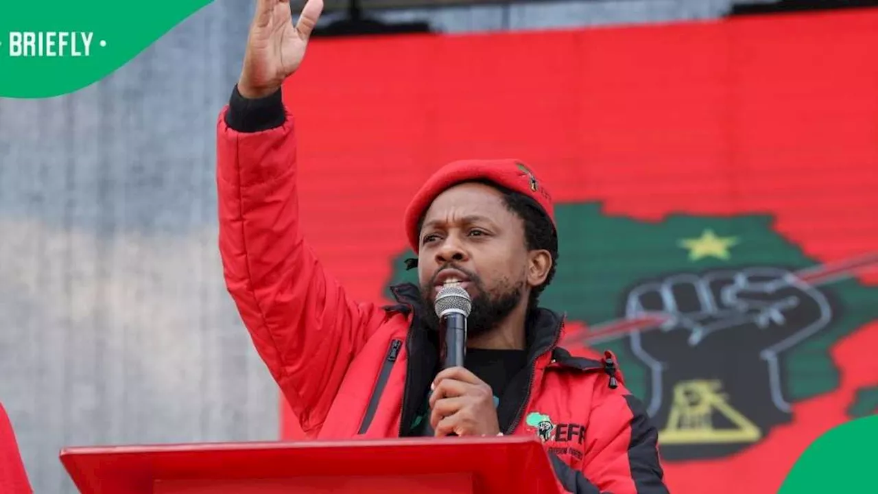 Opening of Parliament Debate: EFF MP Mbuyiseni Ndlozi Makes Splash With Confrontations and Digs