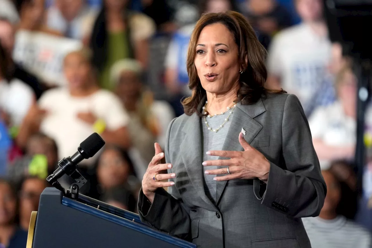 Majority of Democrats think Kamala Harris would make a good president, AP-NORC poll shows