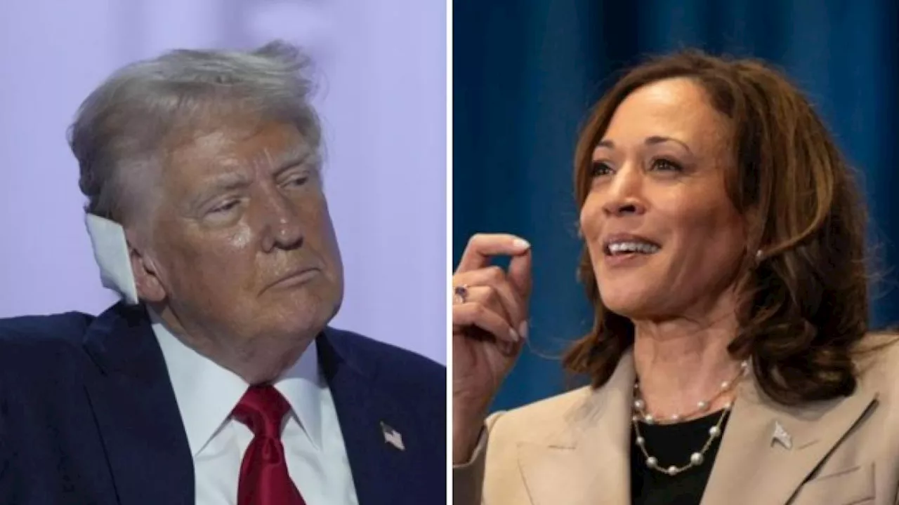 Trump contro Kamala Harris, 100 giorni da brivido