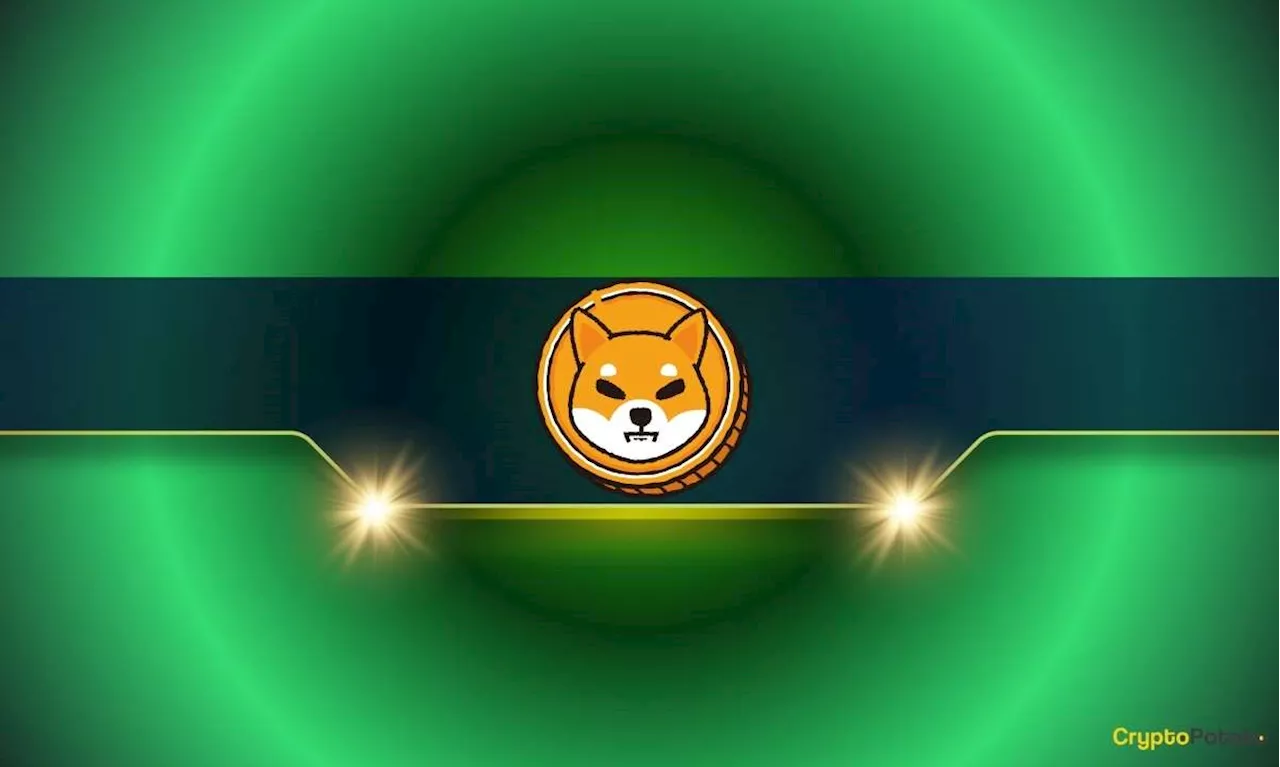 Shiba Inu (SHIB) Price Crashes 7% Daily But There’s More to the Story