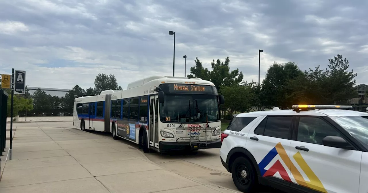 RTD sees rail line disruptions amid global IT outage