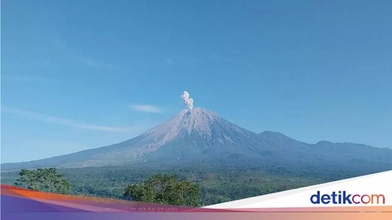 Gunung Semeru Erupsi Pagi Ini, Ketinggian Kolom Abu 800 Meter