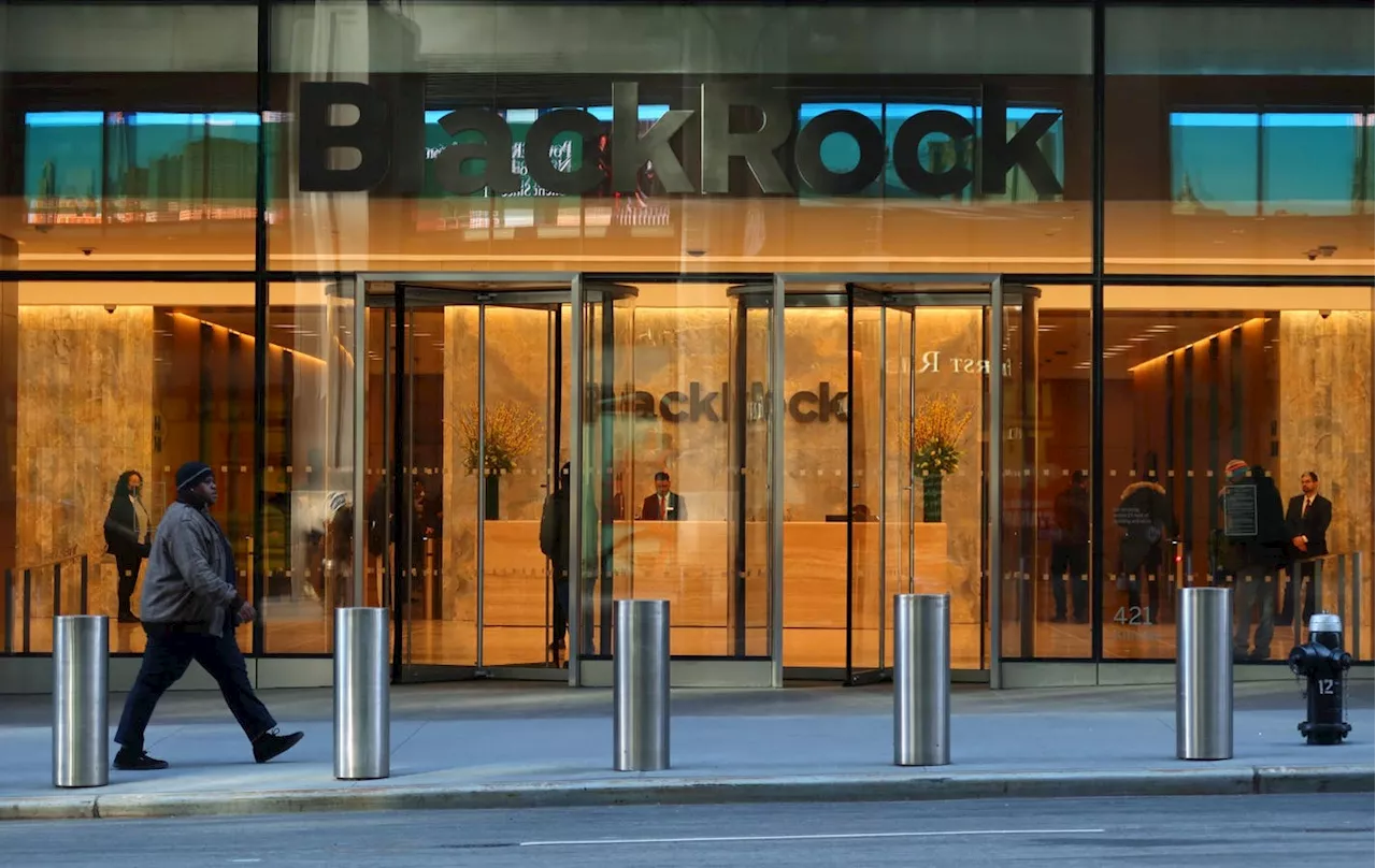 BlackRock Gives Choice To Clients Investing In A Low-Carbon Transition