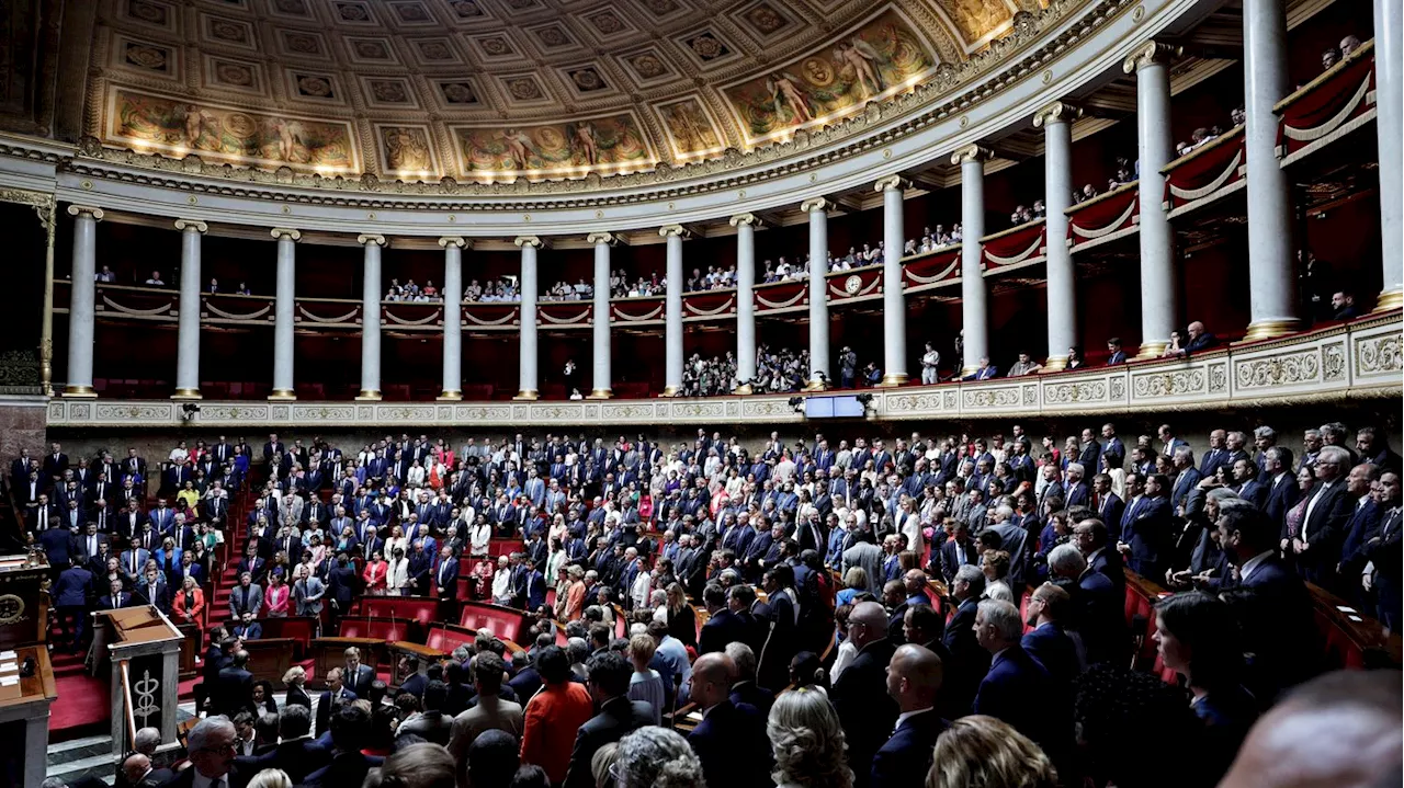 INFOGRAPHIES. Elections législatives 2024 : âge, genre, CSP... Visualisez le nouveau visage de l'Assemblée nat