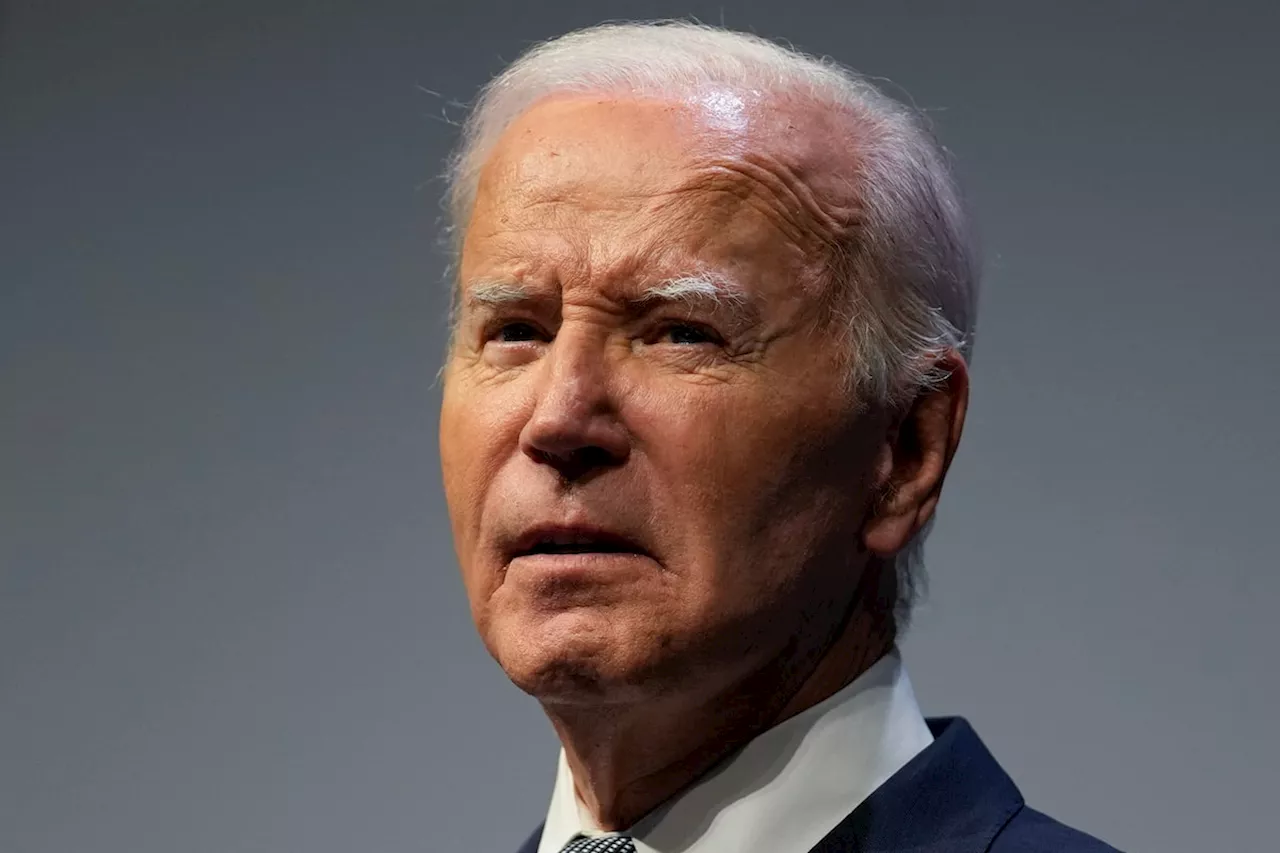 Democratic Party committee meets to discuss virtual vote process to nominate Biden