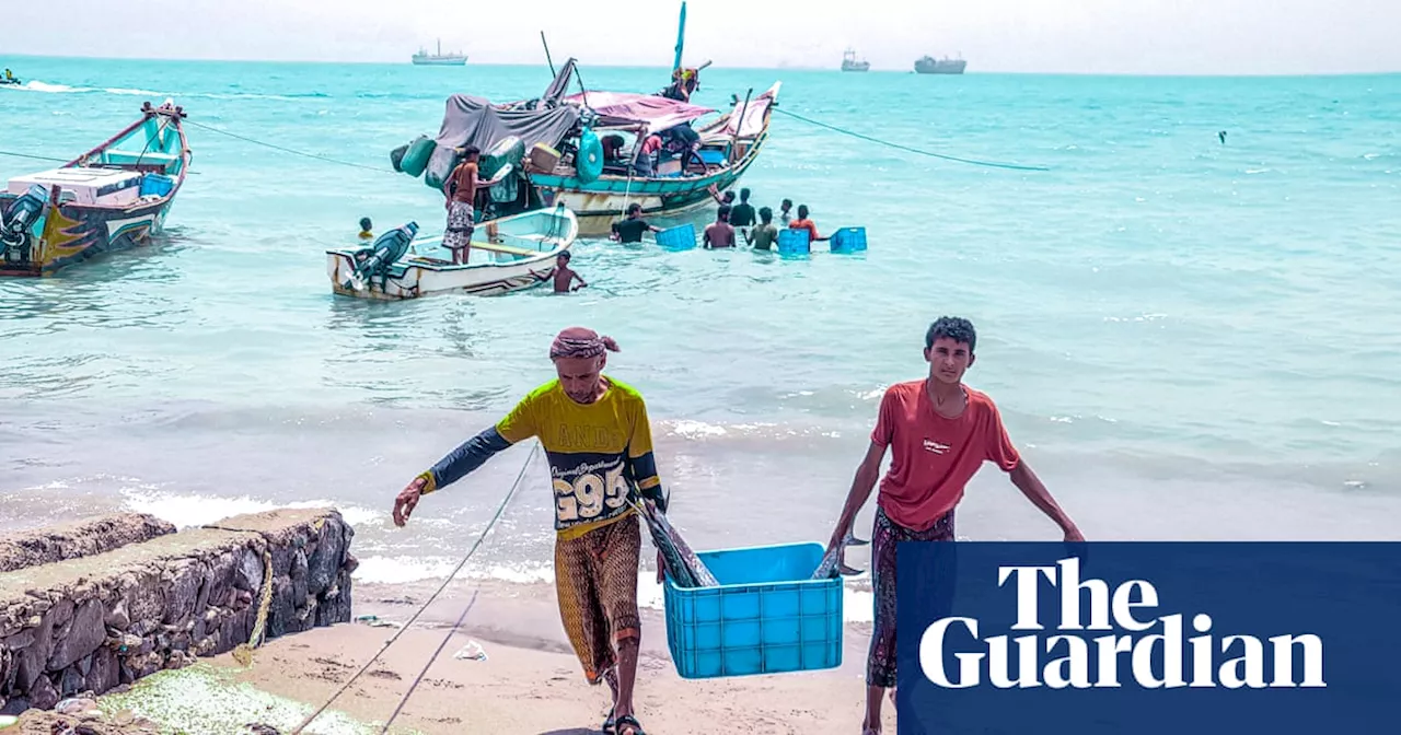 DIY artificial reefs are boosting fish numbers in Yemen. But there’s a catch