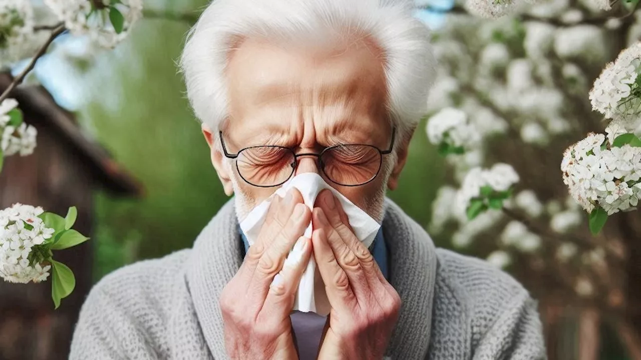 Pflanzen unter Stress - Klimakrise verlängert Allergie-Saison