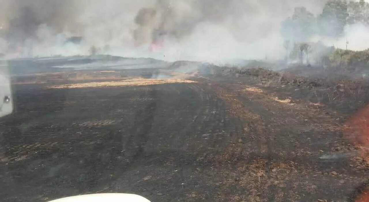 Lanuvio aggiornamento incendio in via Nettunense foto video di Luciano Sciurba