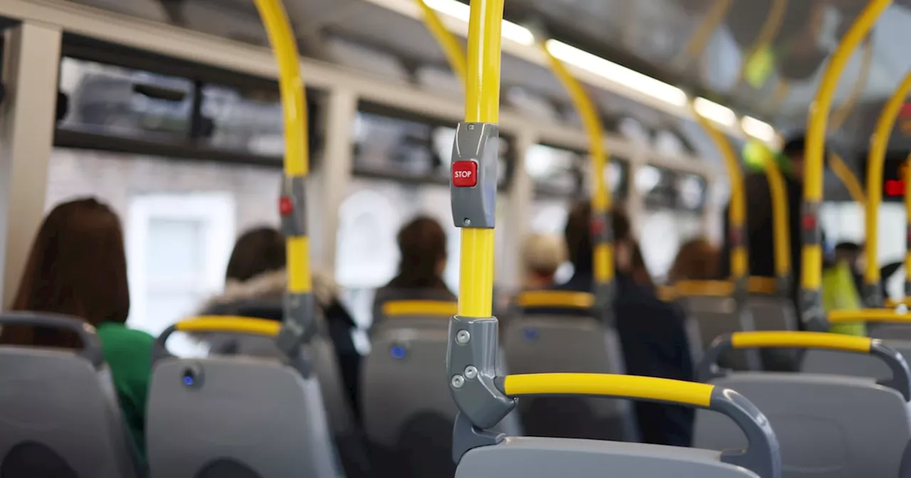 ‘Thuggery and criminality’ on public transport past critical point, drivers warn