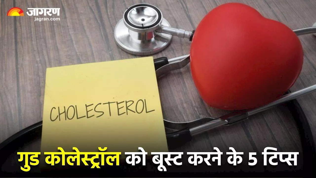 शरीर में Good Cholesterol का लेवल बढ़ाने के लिए अपनाएं ये 5 टिप्स, स्ट्रोक और हार्ट अटैक का जोखिम भी होगा कम