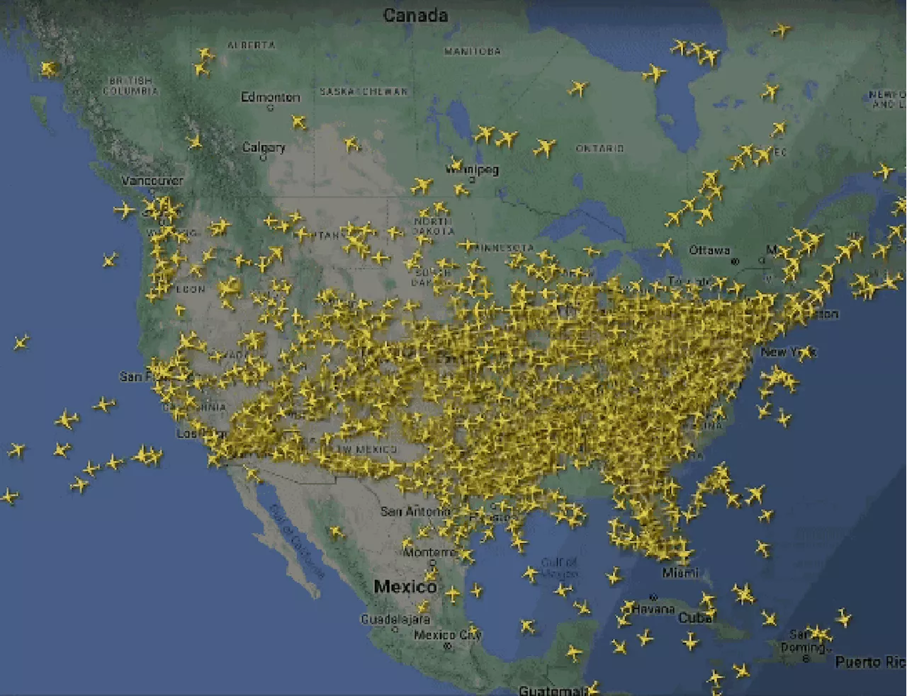 Animação mostra impacto de apagão cibernético em voos nos EUA; mapa detalha crise em aeroportos