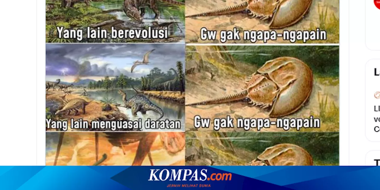 Muncul Lebih Dulu dari Dinosaurus, Kepiting Tapal Kuda Bertahan Hidup hingga Kini