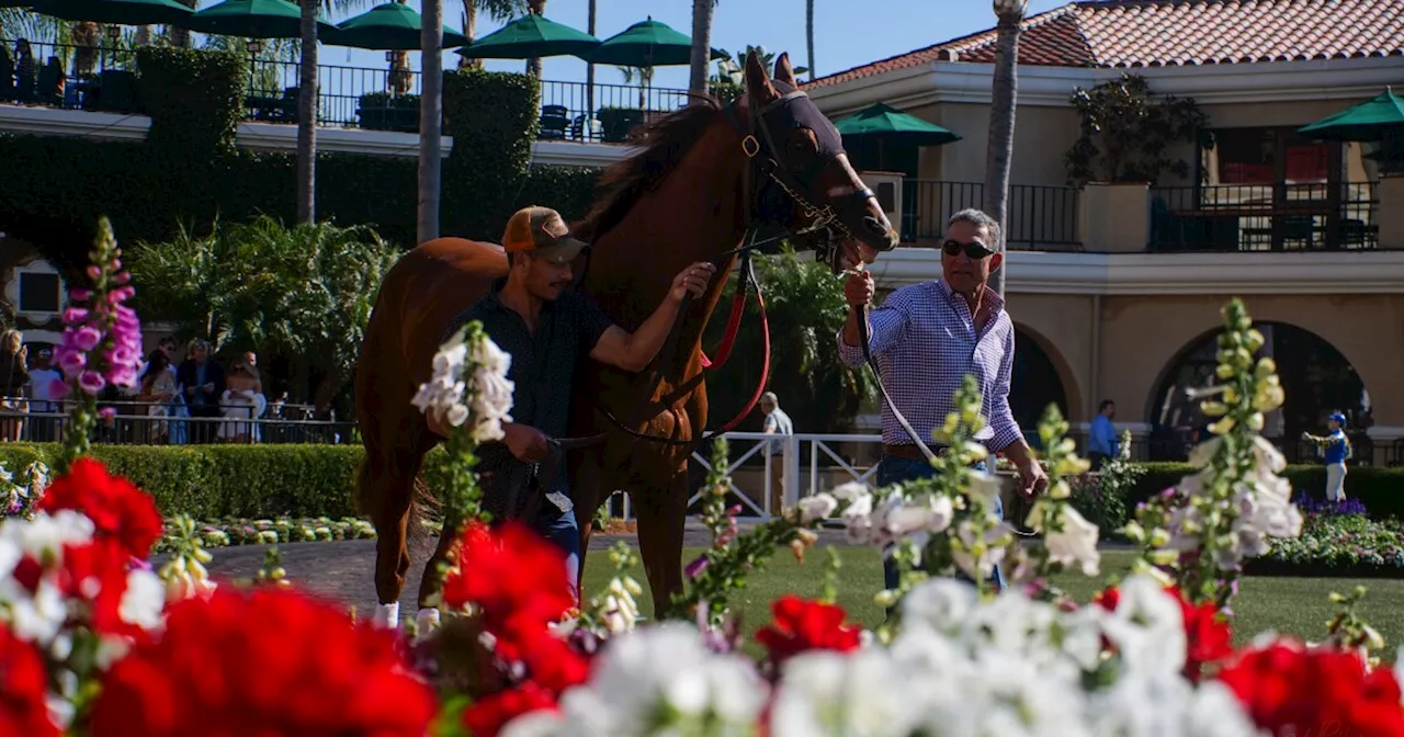 Del Mar racing season begins tomorrow with event-filled Opening Day