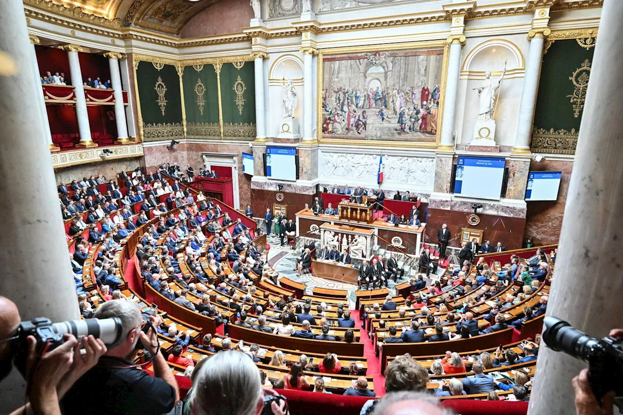 Législatives 2024 : comprendre les groupes de la nouvelle Assemblée nationale