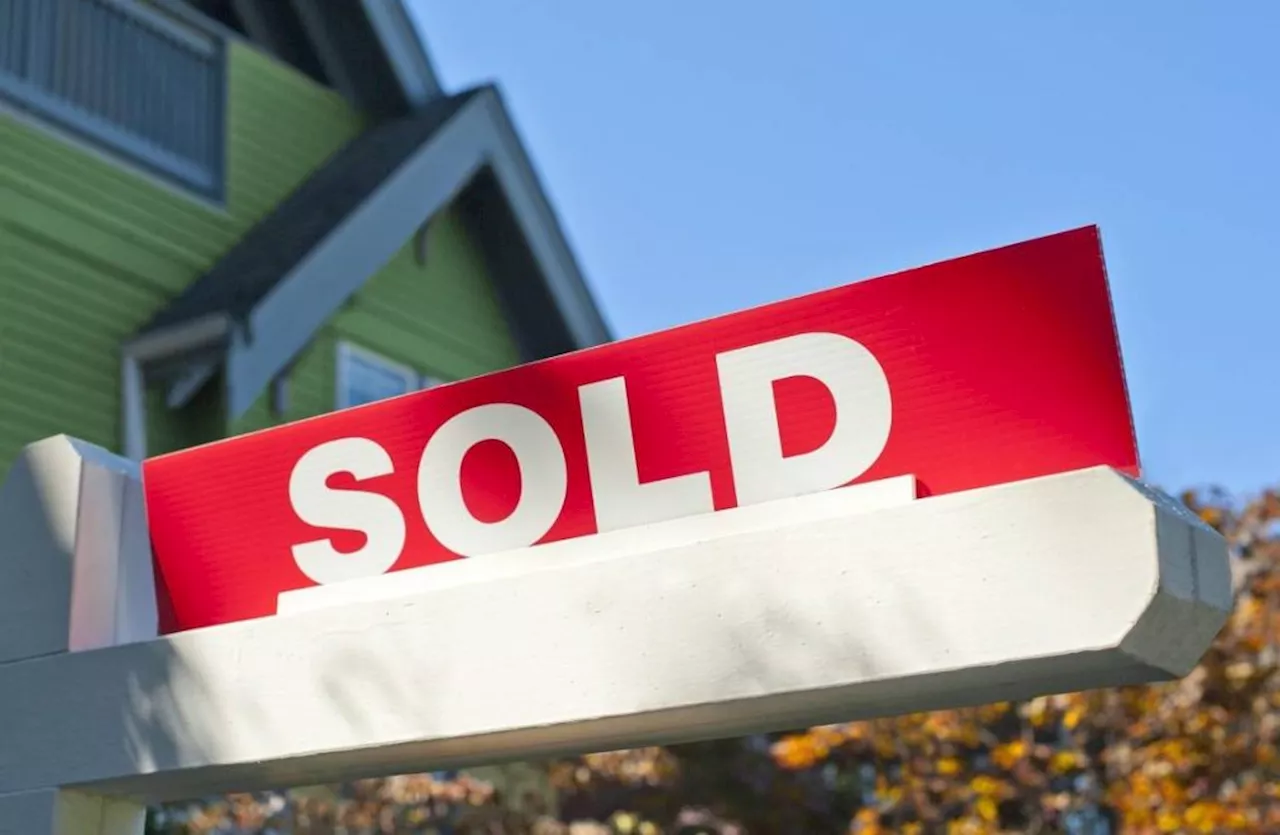 Buyers and sellers: Are you ready for the new house-hunting rules?