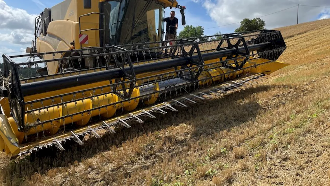 Plongée au cœur de la moisson : à bord d’une moissonneuse-batteuse avec un agriculteur tarnais