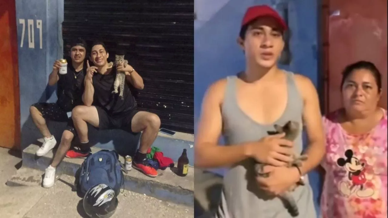 Maltrato animal: En Coatza, joven lanza a gato y pide disculpas a dueña tras hacerse viral