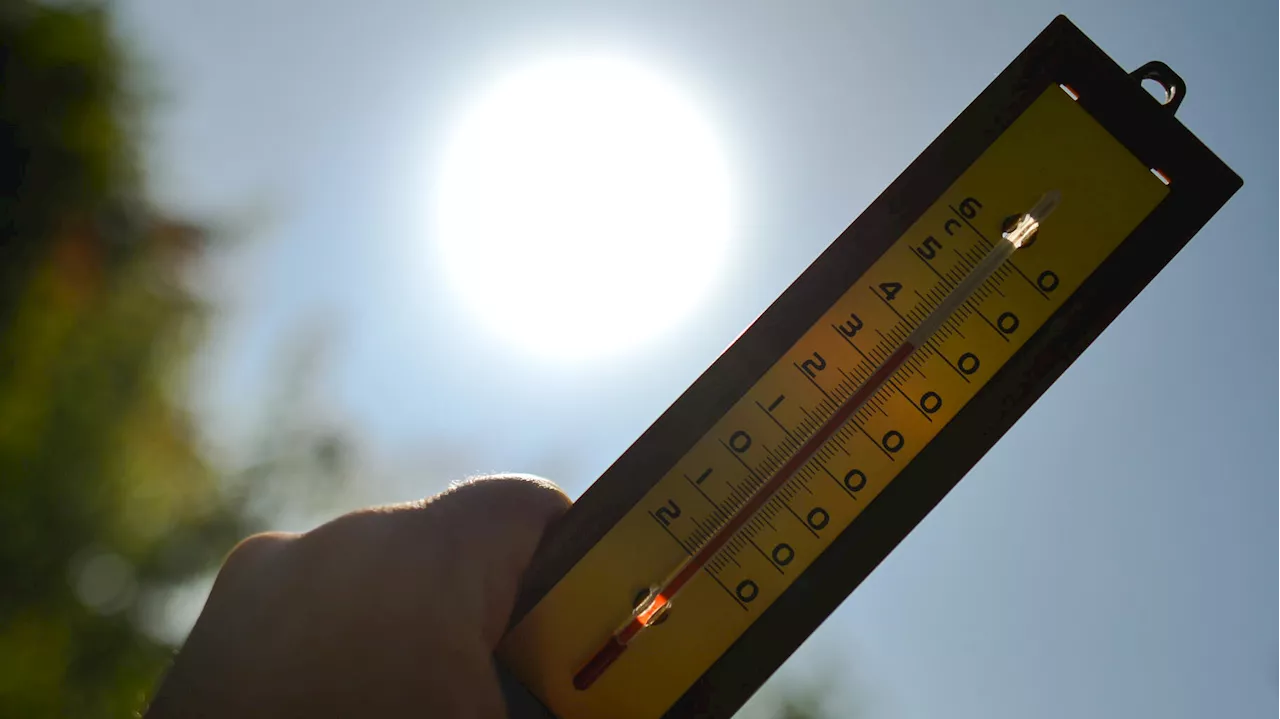 Météo : la chaleur à son pic ce vendredi 19 juillet, avant l’arrivée des orages ce week-end