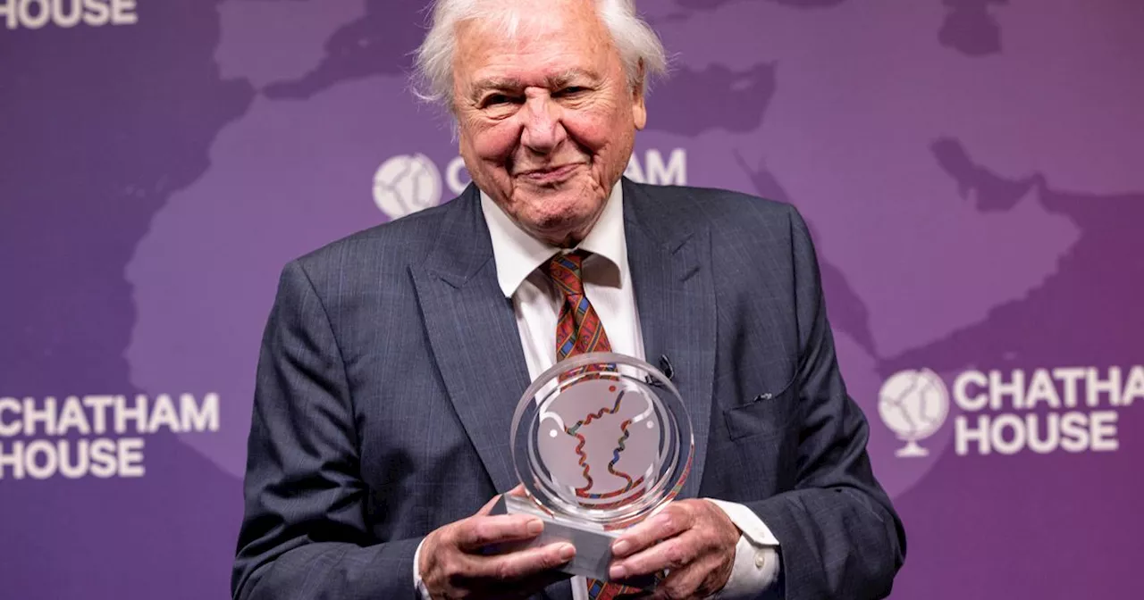 David Attenborough confirms latest film project