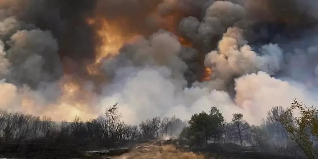 Häuser brennen bei verheerenden Bränden in Bulgarien aus