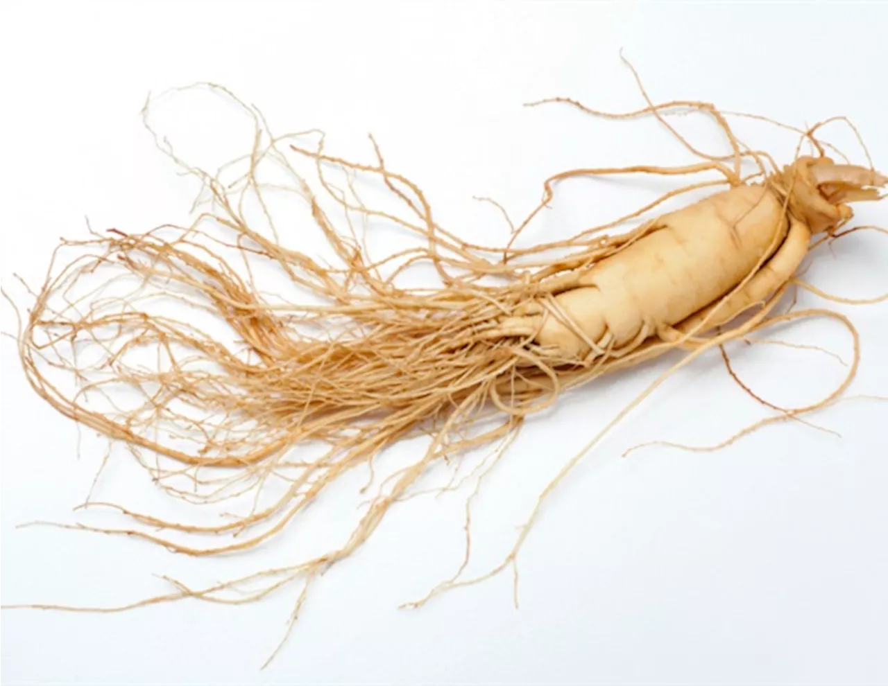 Ginseng genome unlocks secrets of medicinal benefits