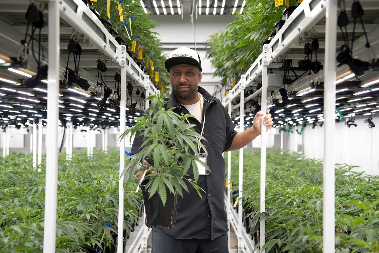 Amid Hudson’s urban sprawl, these entrepreneurs aim to blossom and keep dispensaries well-stocked