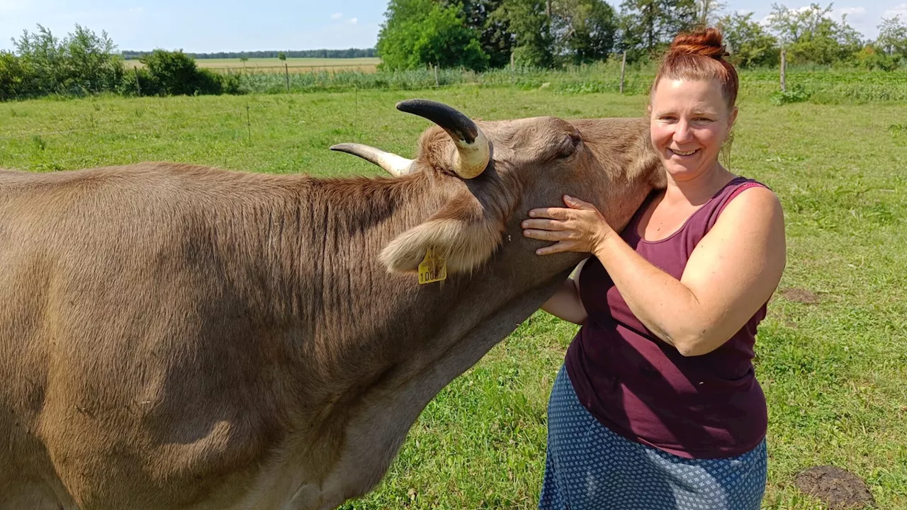 Die Demeter-Bäuerin und das liebe Vieh: Ein Besuch in Enzersdorf/Thale