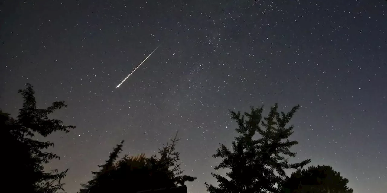 Sonne, Mond und Sterne im August - Strom der Perse&iuml;den