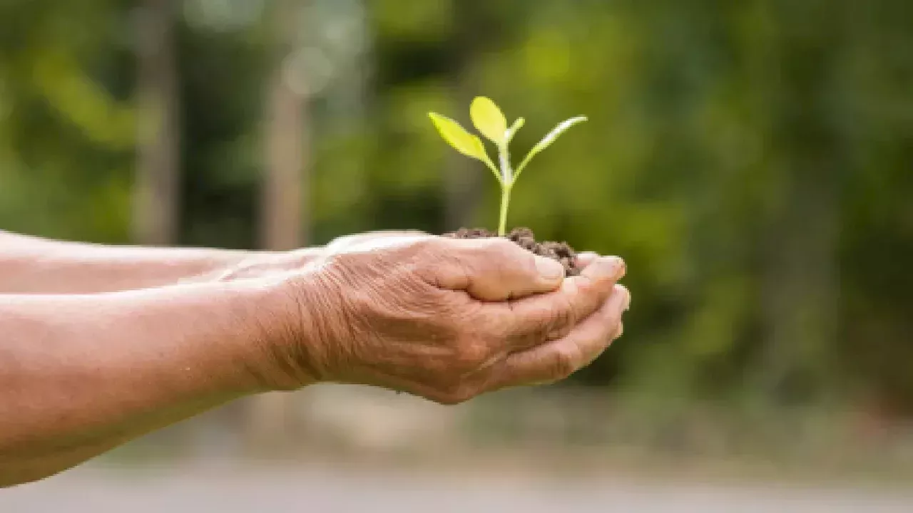 Medicina Ambiental El Impacto Del Entorno En La Salud Del Humano Medio Ambiente Head Topics 0393