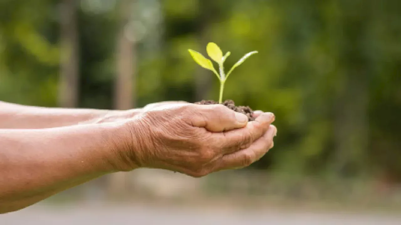 Medicina ambiental: El impacto del entorno en la salud del humano