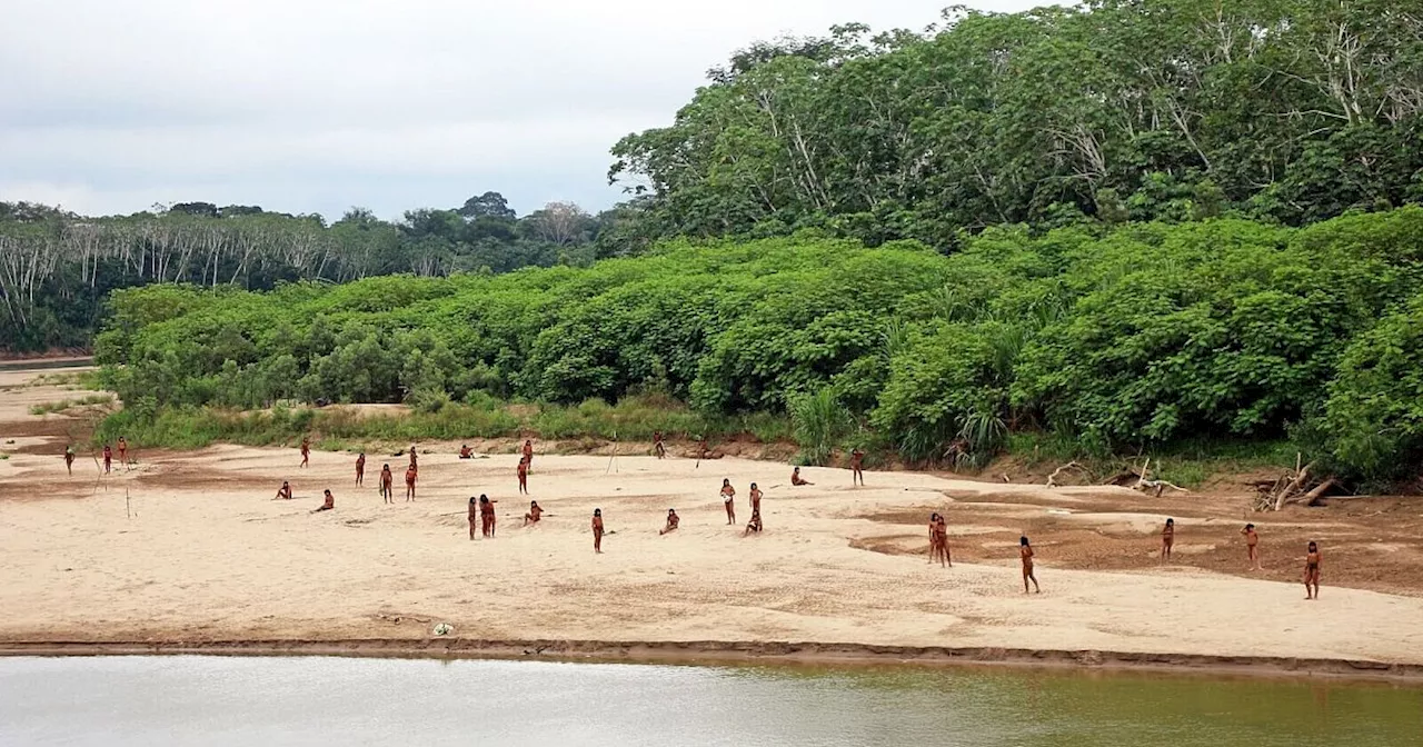 Unkontaktiertes Volk nahe Abholzungsgebiet in Peru gesichtet