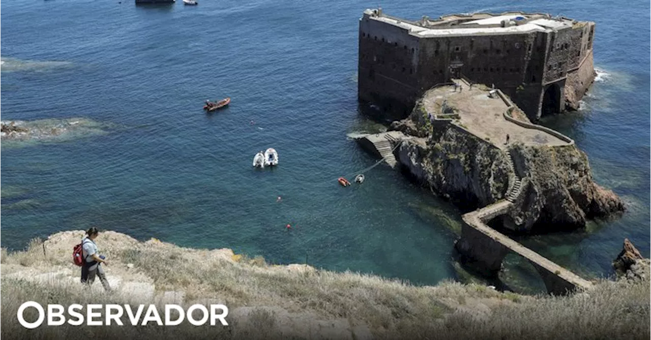 Campismo na ilha das Berlengas reabre no sábado mas com lotação reduzida