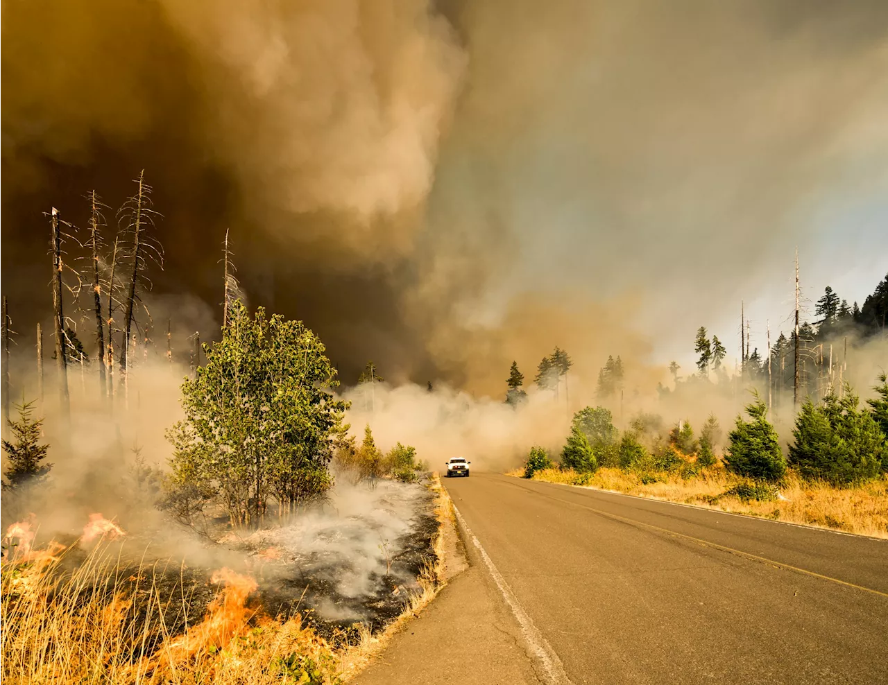 Working to strengthen Pacific Northwest defenses against wildfires and wildfire smoke