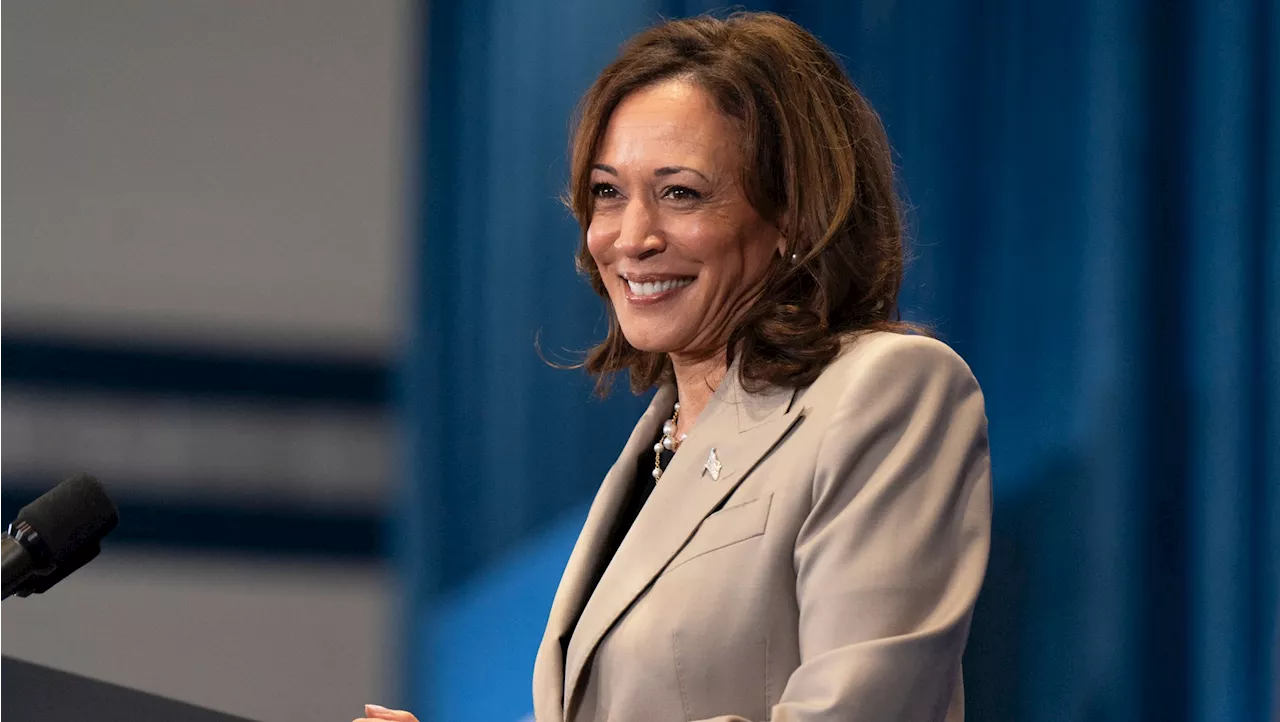 Kamala Harris Holds Emergency Call With Dem Donors