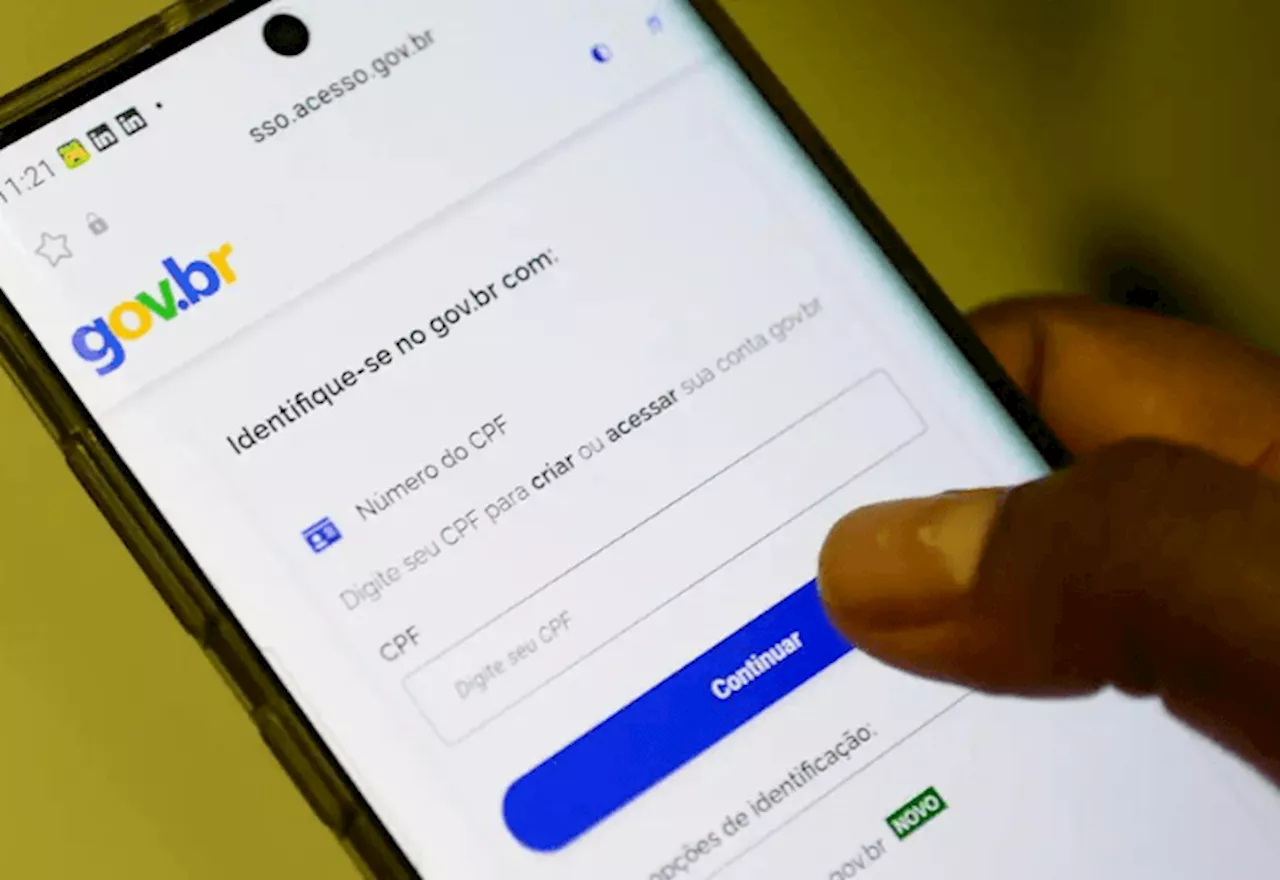 Sistema Gov.br não foi afetado por apagão cibernético e órgãos monitoram situação, diz governo