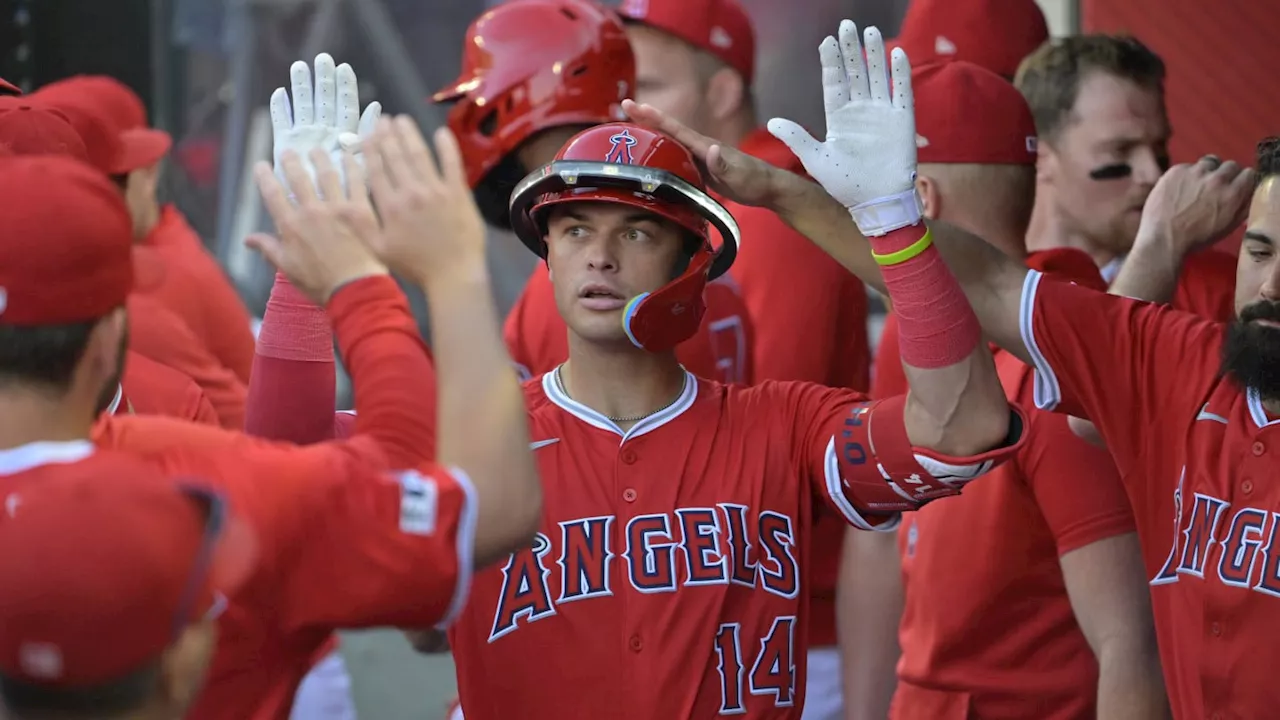 Angels' Logan O'Hoppe to Miss Friday's Game Due to Ridiculous Reason