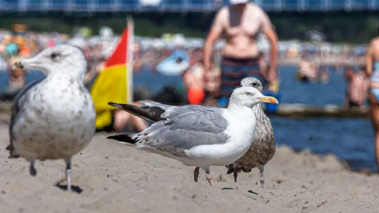 Ferienbeginn: Schüler und Lehrer in MV starten in Sommerferien