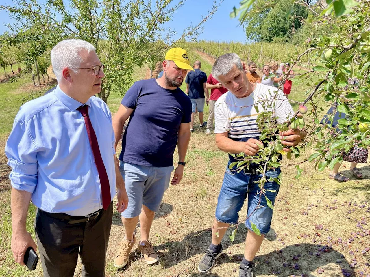 « La grêle, c’est ce qui finit de nous achever » : le cri de détresse des agriculteurs au préfet de Lot-et-Garonne