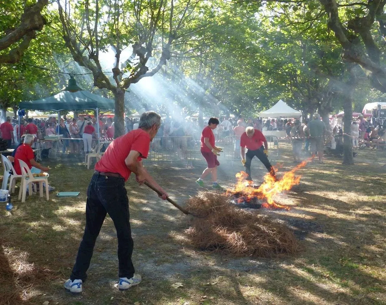 Le Château-d’Oléron : 3 000 à 4 000 personnes attendues pour la Fête de l’huître et du pineau