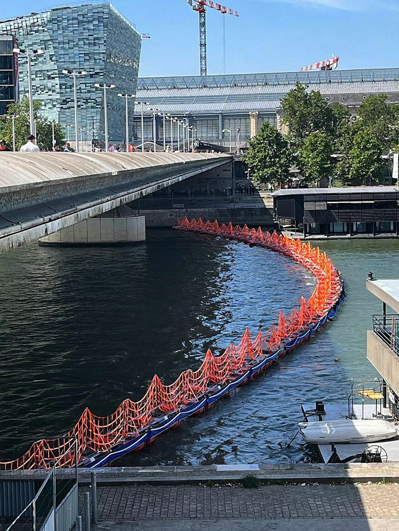 Seine : le site d’eau libre conforme aux normes sanitaires six jours sur sept entre les 10 et 16 juillet