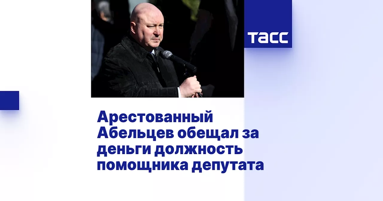 Арестованный Абельцев обещал за деньги должность помощника депутата