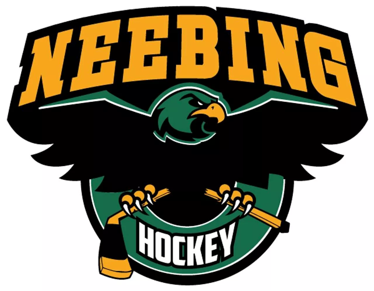 Neebing Minor Hockey refutes allegations from Lakehead Minor Hockey League