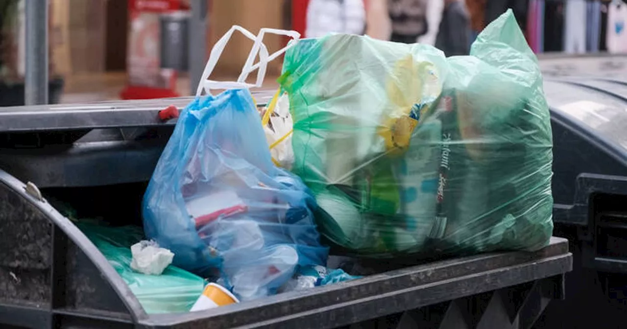 Wissen, welcher Abfall in welche Tonne kommt: Tirol und Vorarlberg trennen Müll am besten