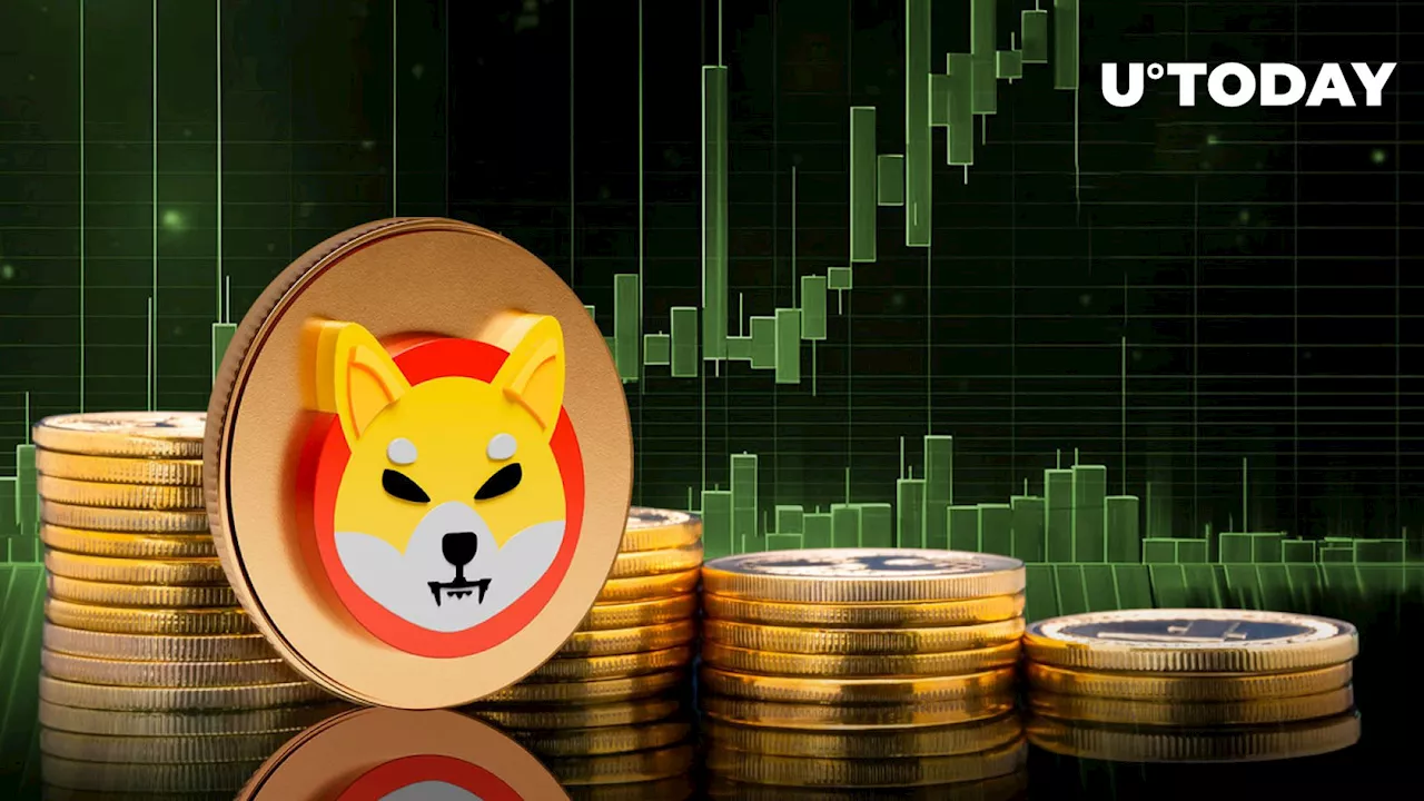 Shiba Inu Skyrockets 145% in Volume as SHIB Price Eyes Recovery