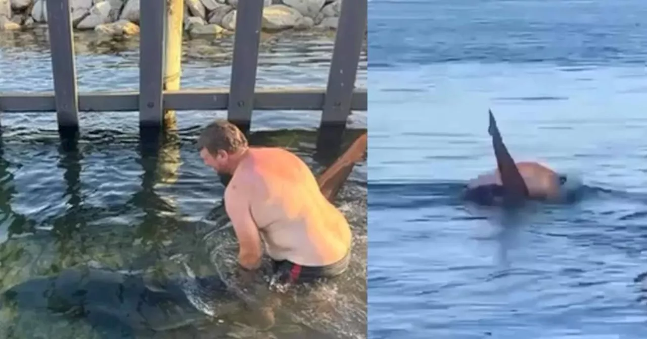 Impactante video: Hombre arriesga su vida para regresar al mar a un tiburón