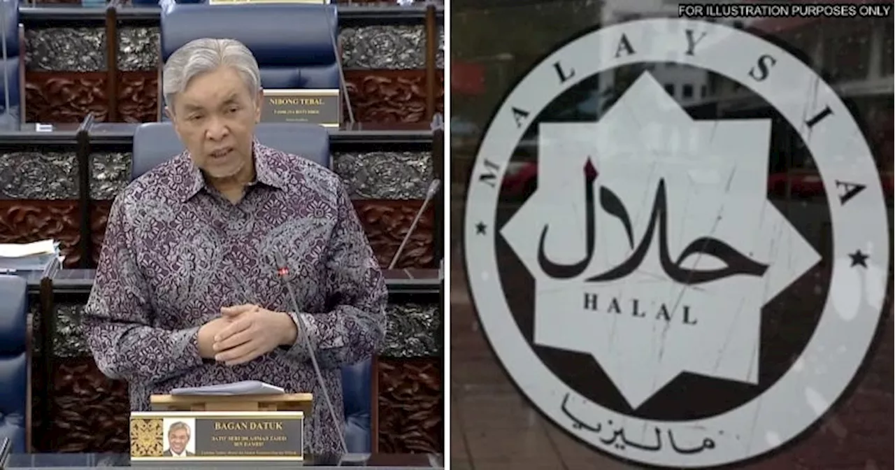 Zahid Hamidi: Majority of Companies with Halal Certifications in Malaysia Owned By Non-Bumiputera