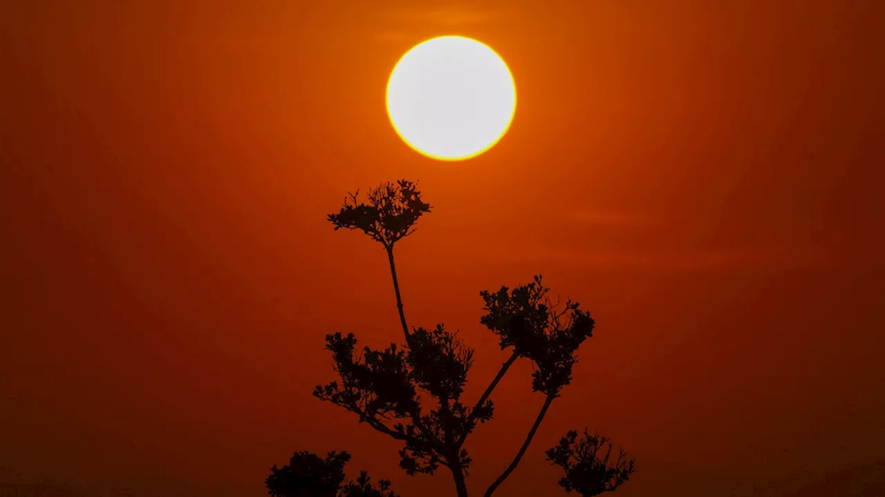 Extreme heat can impact medications, experts warn amid high temperatures