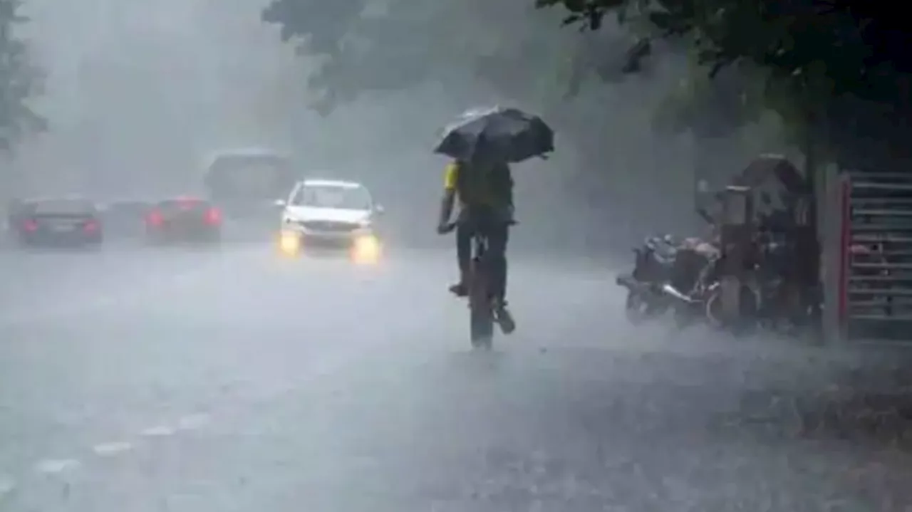 Kerala Rain Update: പെയ്തൊഴിയാതെ പേമാരി; ഓറഞ്ച് അലർട്ട് 4 ജില്ലകളിൽ, ഉയർന്ന തിരമാല മുന്നറിയിപ്പും