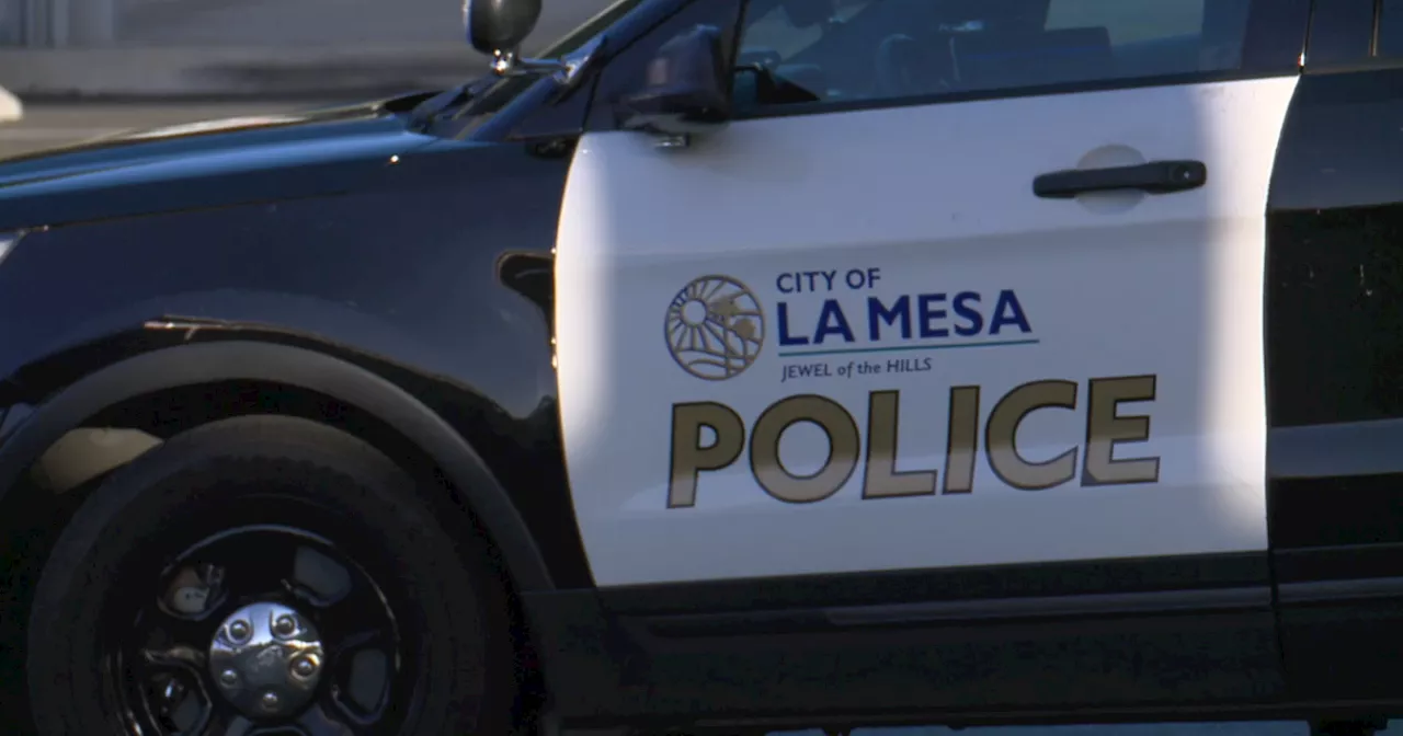 Suspicious device deemed safe, subject arrested in La Mesa incident